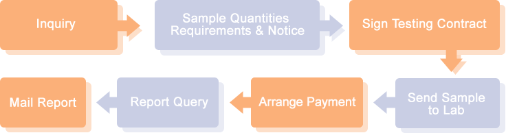 Testing Flow