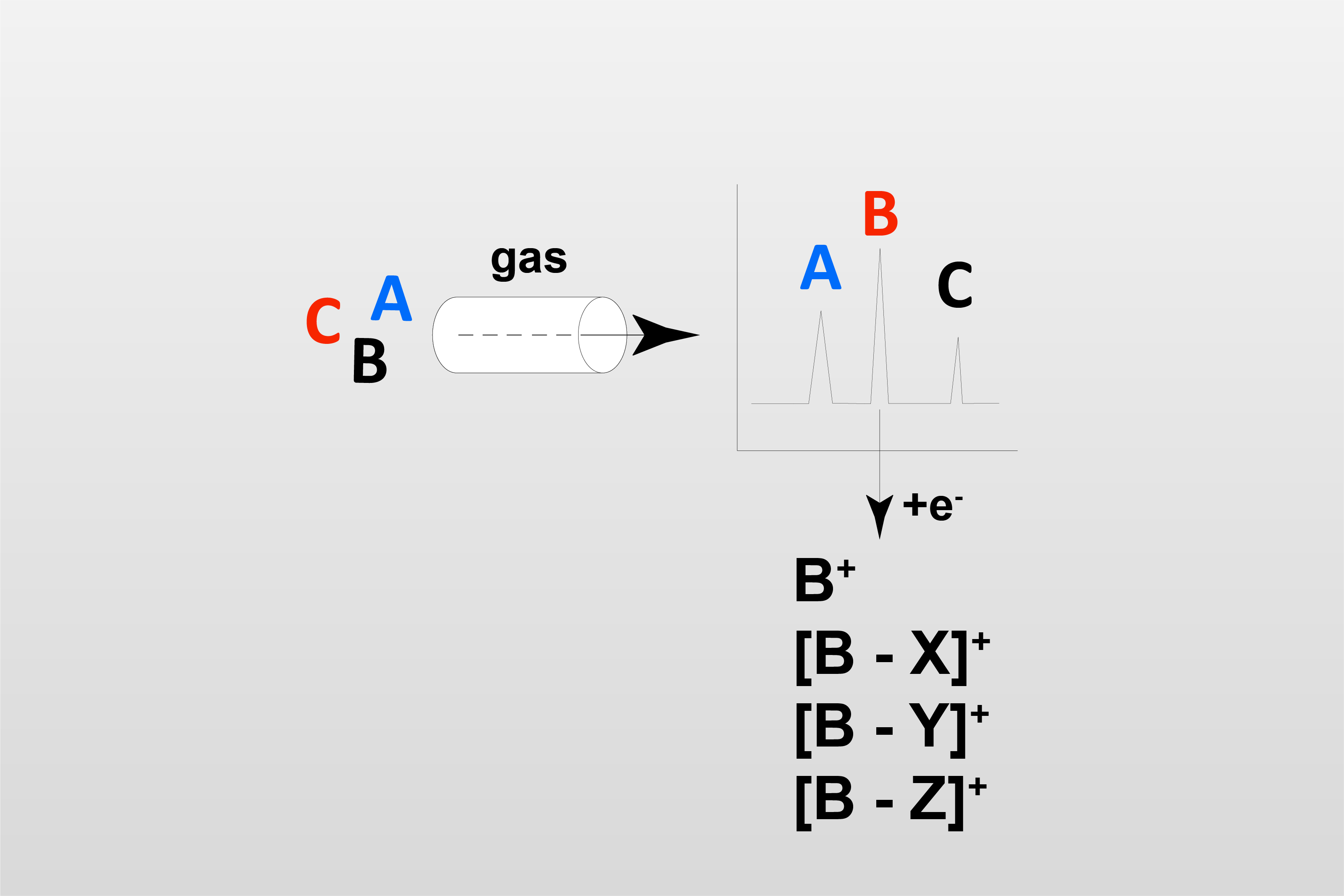 气相色谱-质谱法 (GC-MS)