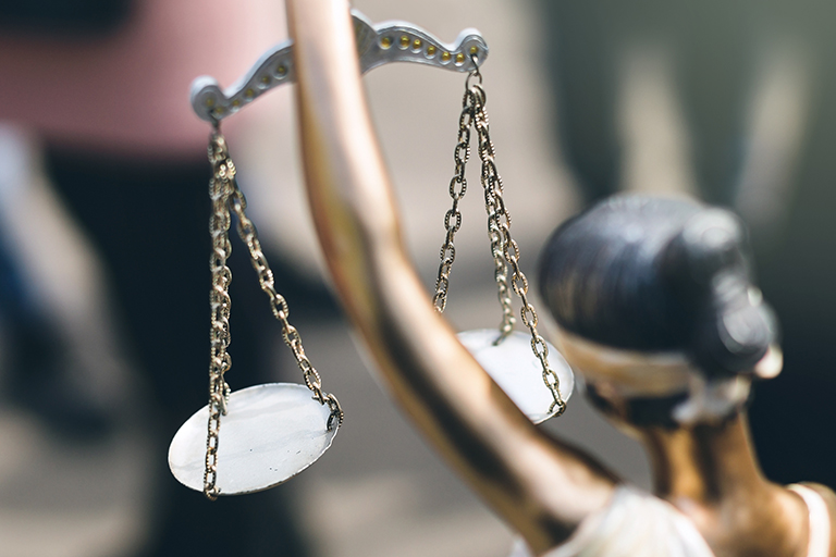 Litigation Support Services